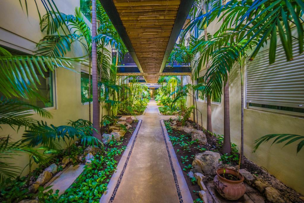 Meridian Downtown Apartments Playa del Carmen Kültér fotó
