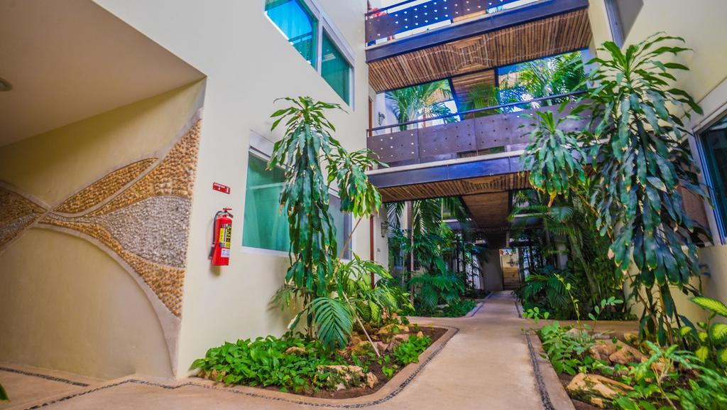 Meridian Downtown Apartments Playa del Carmen Kültér fotó